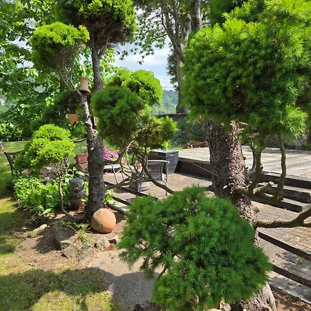 בית הארחה Alttolkewitzer Ferien- & Mrosk