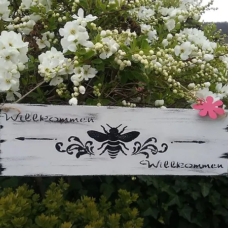 Alttolkewitzer Ferien- & Mrosk בית הארחה