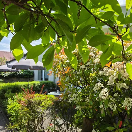 Alttolkewitzer Ferien- & Mrosk Guest house 3*
