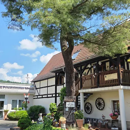Guest house Alttolkewitzer Ferien- & Mrosk Dresden