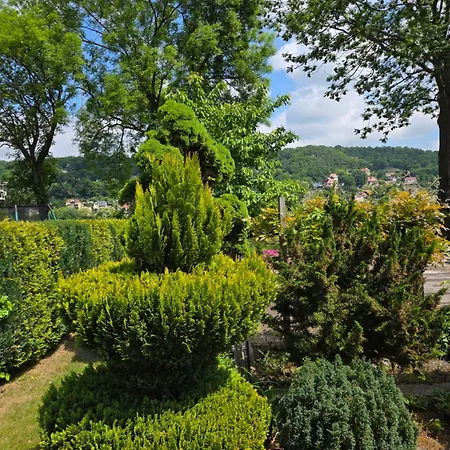 ゲストハウス アルトトルケヴィッツァ フェリエン ＆ プリヴァートツィマー ムロスク