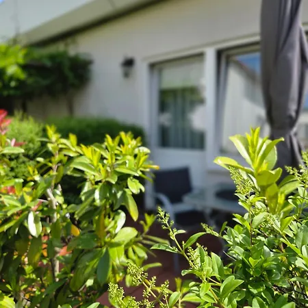 Alttolkewitzer Ferien- & Mrosk Guest house 3*