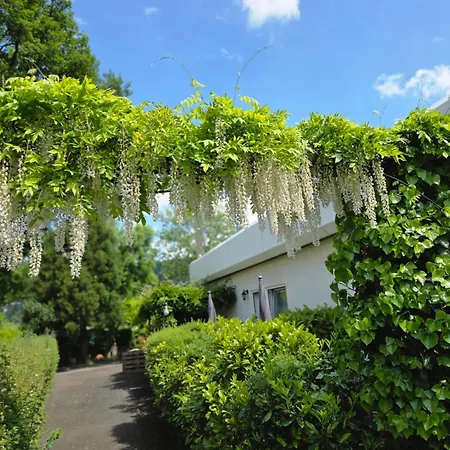 Casa de hóspedes Alttolkewitzer Ferien- & Mrosk 3*