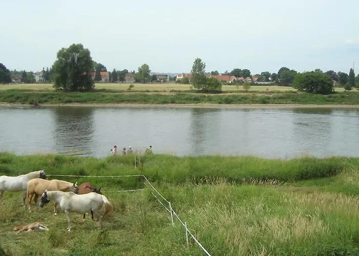 Alttolkewitzer Ferien- & Mrosk