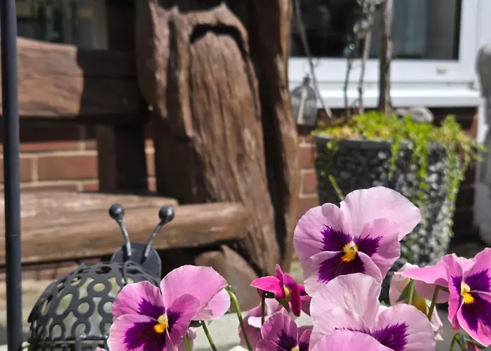 بيت ضيافة Alttolkewitzer Ferien- & Mrosk