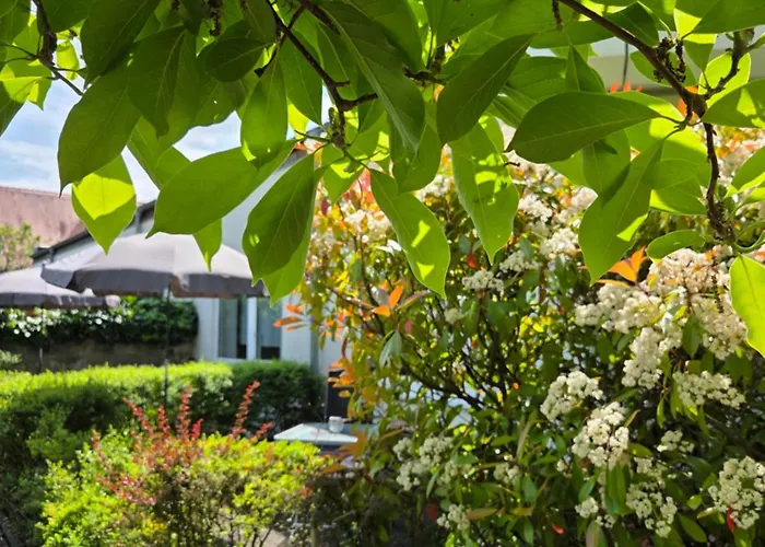 Alttolkewitzer Ferien- & Mrosk بيت ضيافة 3*