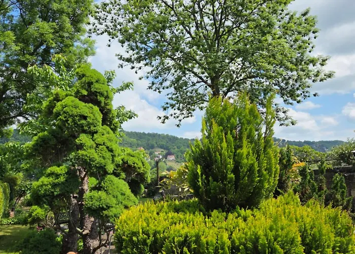 Alttolkewitzer Ferien- & Mrosk بيت ضيافة دريسدن