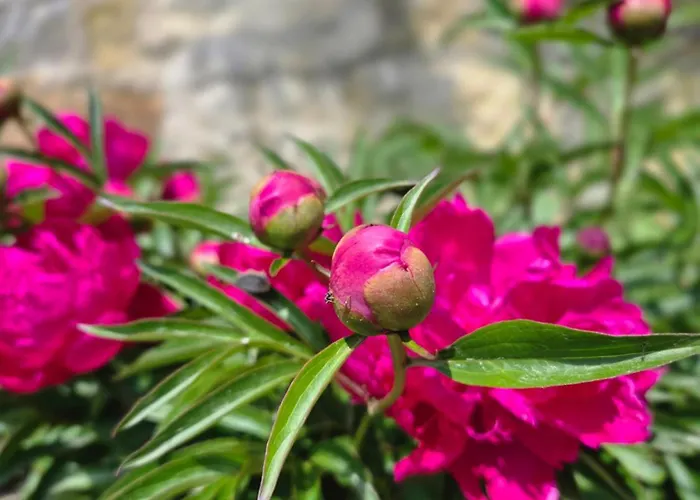 بيت ضيافة Alttolkewitzer Ferien- & Mrosk