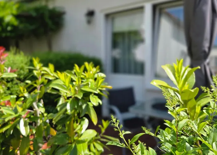 Alttolkewitzer Ferien- & Mrosk بيت ضيافة 3*