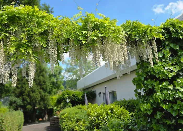 بيت ضيافة Alttolkewitzer Ferien- & Mrosk 3*