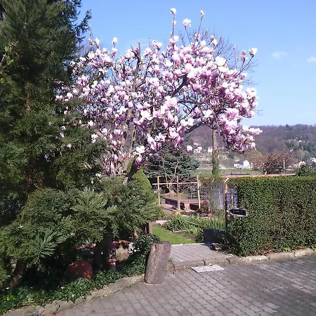 Alttolkewitzer Ferien-&privatzimmer Mrosk Gasthof Dresden