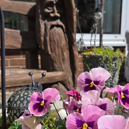 Penzion Alttolkewitzer Ferien- & Mrosk