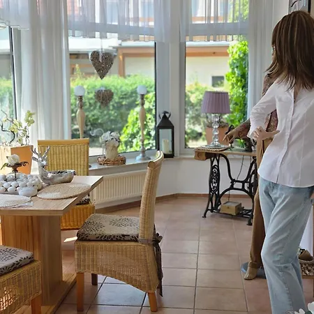 Alttolkewitzer Ferien- & Mrosk Penzion Drážďany